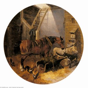 The Farmyard