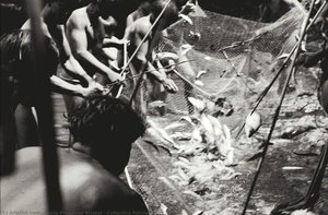 Collective fishing