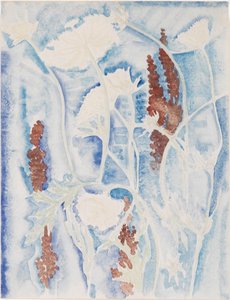 Flowers, White And Brown — Charles Demuth