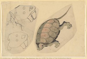 Two Sketches: One Of A Turtle, The Other Of Two Unidentified Objects — Katsushika Hokusai