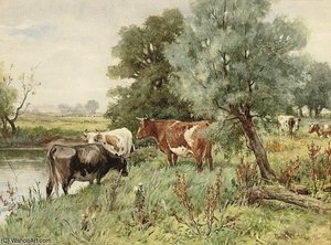 Cows Grazing — Claude Cardon