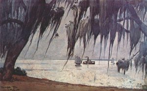 Spanish Moss At Tampa — Winslow Homer