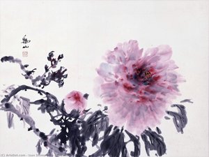 Peonies