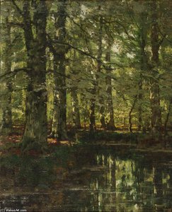 A Forest Pond