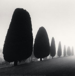 Seven Trees, Castello Di Canossa, Italy — Michael Kenna
