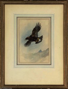 Lord Of The Glen — Archibald Thorburn