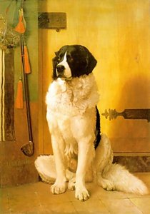 Study Of A Dog — Jean-léon Gérôme, Orientalism