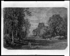 Landscape With Trees — William Trost Richards