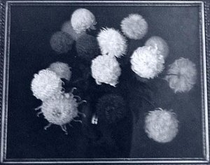 Still Life with Flowers, (painting)