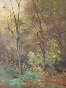 Arden Wood, Healing, Lincolnshire
