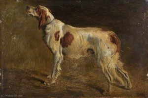 A setter