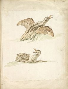 Two Ducks In The Water, One Taking Flight — Jean-baptiste Oudry
