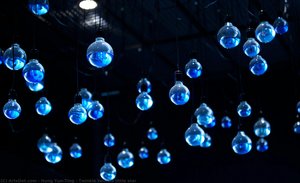 Twinkle Twinkle Little Star — Hung Yun-ting