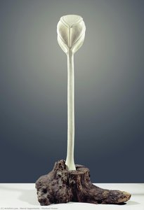 Masked Flower — Meret Oppenheim, Surrealist