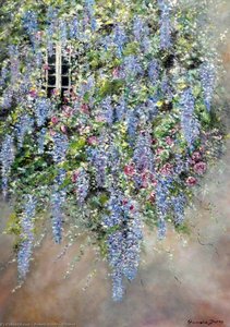 Wisteria — Pamela Dorey