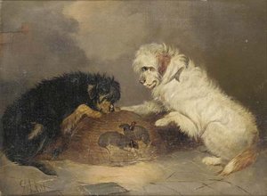 Terriers And A Rat Cage — George Armfield (smith)