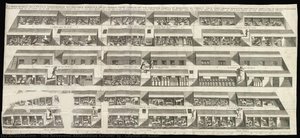 Layout of Noah