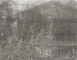 Bronx Zoo — Madoka Takagi