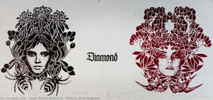 Natura Artis Magistra — Hugh Welch Diamond
