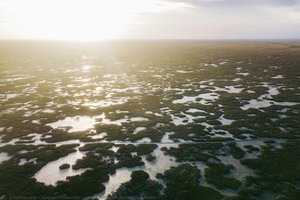 Aerial View Of Upper Everglades — Angelo Chiacchio