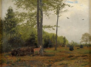 Forest clearing with deer