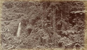 Falls Of The Oroyo Delia Las Nubes, Guatemala — Eadweard J Muybridge
