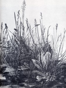 The So Called Great Piece Of Turf — Albrecht Dürer