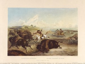 Indians Hunting The Bison, Plate 31 From Volume 2 Of 'travels In The Interior Of North America' — Karl Bodmer