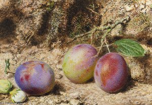 Still Life With Plums And Hazelnuts On A Mossy Bank — William Henry Hunt