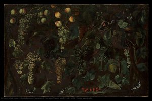 Grape Vines and Fruit, with Three Wagtails