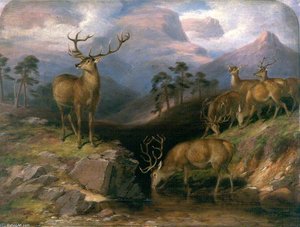 Deer — James William Giles