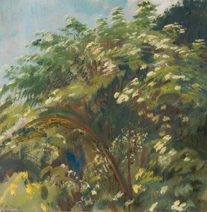 Study Of Elder Blossom — Sir Alfred James Munnings, Impressionistic Landscape