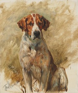 Study Of A Hound — John Emms