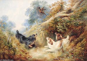 Spaniels Flushing Out A Pheasant - — Džordž Armfild (smit)