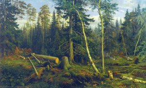 Logging — Ivan Ivanovich Shishkin, Realism