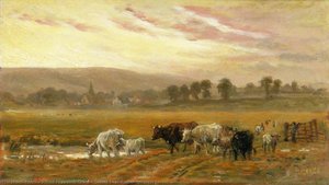 Sunset Near Amberley, West Sussex