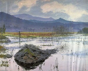 Beaver Pond — Neil Gavin Welliver