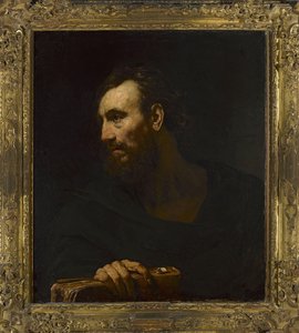 Old Man With A Book — Виллем Дрост