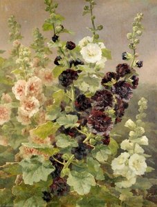 Hollyhocks — Anthonore Christensen