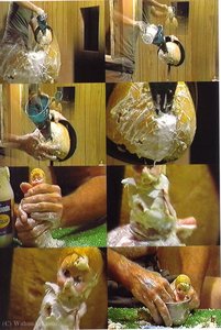 Untitled (689) — Paul Mccarthy