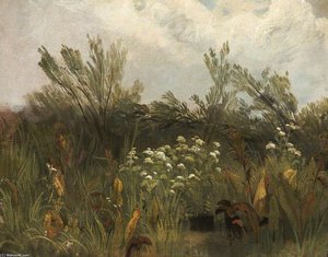 Study Of Sorrel, Cow Parsley And Willow Saplings — Peter De Wint