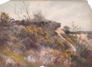 Nouns Heath, May 1896 — William Henry Hope