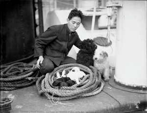 Seaman on YAHIKO MARU with two terriers and a litter of puppies