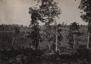 The Battle Ground of Resaca, No.2 from the album Photographic Views of Sherman's Campaign