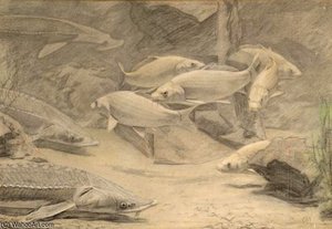 Sturgeon And Carps — Gerrit Willem Dijsselhof