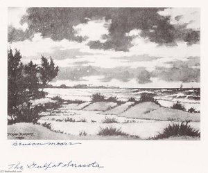The Gulf Of Sarasota — Benson B Moore