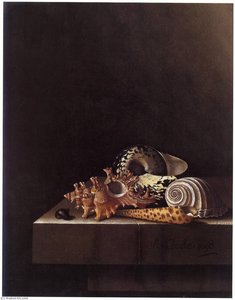 English Still Life With Shells — After Adriaen Coorte
