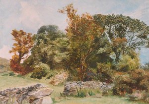 Beddgelert — Frederick William Hayes