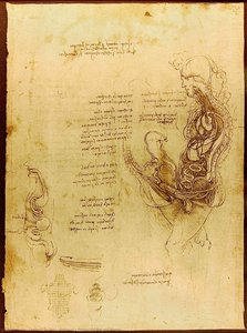 Coito De Un Hombre Y Una Mujer Hemisecados — Leonardo Da Vinci, Alto Renacimiento Italiano