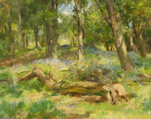Woodland Scene - — William Stewart Macgeorge